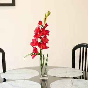 Aligrama Apartamento