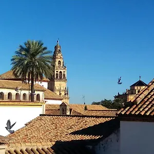 Apartment La Mirada De La Juderia, Córdoba